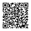 To view this 2020 Ford Transit Connect Seguin TX from Red Carpet Auto Sales | Buy Here Pay Here Auto Financing, please scan this QR code with your smartphone or tablet to view the mobile version of this page.