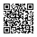 To view this 2009 Toyota Sienna Seguin TX from Red Carpet Auto Sales | Buy Here Pay Here Auto Financing, please scan this QR code with your smartphone or tablet to view the mobile version of this page.