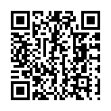 To view this 2014 Dodge Journey Seguin TX from Red Carpet Auto Sales | Buy Here Pay Here Auto Financing, please scan this QR code with your smartphone or tablet to view the mobile version of this page.