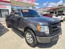 2013 GRAY Ford F-150 (1FTFW1EF0DK) with an 5.0L V8 F DOHC 32V engine, Automatic transmission, located at 503 West Court, Seguin, TX, 78155, (830) 379-3373, 29.568621, -97.969803 - 2013 Ford F-150 XLT 6.5-ft. Bed 4WD with a 5.0L V8 F DOHC 32V, Automatic, Tilt, Cruise, AM/FM/CD/AUX Stereo, Power Windows, Locks and Side Mirrors, Front Bench Seating, Running Boards, Tonneau Cover, Alloy Wheels, Towing and more!! - Photo#1