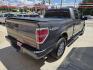 2013 GRAY Ford F-150 (1FTFW1EF0DK) with an 5.0L V8 F DOHC 32V engine, Automatic transmission, located at 503 West Court, Seguin, TX, 78155, (830) 379-3373, 29.568621, -97.969803 - 2013 Ford F-150 XLT 6.5-ft. Bed 4WD with a 5.0L V8 F DOHC 32V, Automatic, Tilt, Cruise, AM/FM/CD/AUX Stereo, Power Windows, Locks and Side Mirrors, Front Bench Seating, Running Boards, Tonneau Cover, Alloy Wheels, Towing and more!! - Photo#2