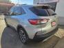 2020 Ford Escape SEL AWD (1FMCU9H6XLU) with an 1.5L L3 engine, 6A transmission, located at 503 West Court, Seguin, TX, 78155, (830) 379-3373, 29.568621, -97.969803 - 2020 Ford Escape SEL AWD with a 1.5L L3, Automatic, Tilt, Cruise, AM/FM Touchscreen Stereo, Power Windows, Locks, Seat and Side Mirrors, Bluetooth, Leather Seating, Tinted Windows, Heated Seats, Heated Steering Wheels, Alloy Wheels, Power Rear Hatch, Backup Camera, Bumper Sensors, Rear Wiper, Rear D - Photo#2