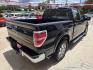2013 Black Ford F-150 Platinum SuperCrew 6.5-ft. Bed 2WD (1FTFW1CT6DK) with an 3.5L V6 TURBO engine, 6-Speed Automatic transmission, located at 503 West Court, Seguin, TX, 78155, (830) 379-3373, 29.568621, -97.969803 - 2013 Ford F-150 Platinum SuperCrew 6.5-ft. Bed 2WD with a 3.5L V6 TURBO, Automatic, Tilt, Cruise, AM/FM/CD Touchscreen Stereo, Power Windows, Locks, Seat and Side Mirrors, Leather Seating, Bluetooth, Dual Climate Control, Rear A/C, Heated and Cooled Seats, Running Boards, Backup Camera, Bumper Senso - Photo#2