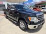 2013 Black Ford F-150 Platinum SuperCrew 6.5-ft. Bed 2WD (1FTFW1CT6DK) with an 3.5L V6 TURBO engine, 6-Speed Automatic transmission, located at 503 West Court, Seguin, TX, 78155, (830) 379-3373, 29.568621, -97.969803 - 2013 Ford F-150 Platinum SuperCrew 6.5-ft. Bed 2WD with a 3.5L V6 TURBO, Automatic, Tilt, Cruise, AM/FM/CD Touchscreen Stereo, Power Windows, Locks, Seat and Side Mirrors, Leather Seating, Bluetooth, Dual Climate Control, Rear A/C, Heated and Cooled Seats, Running Boards, Backup Camera, Bumper Senso - Photo#1
