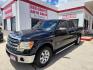 2013 Black Ford F-150 Platinum SuperCrew 6.5-ft. Bed 2WD (1FTFW1CT6DK) with an 3.5L V6 TURBO engine, 6-Speed Automatic transmission, located at 503 West Court, Seguin, TX, 78155, (830) 379-3373, 29.568621, -97.969803 - 2013 Ford F-150 Platinum SuperCrew 6.5-ft. Bed 2WD with a 3.5L V6 TURBO, Automatic, Tilt, Cruise, AM/FM/CD Touchscreen Stereo, Power Windows, Locks, Seat and Side Mirrors, Leather Seating, Bluetooth, Dual Climate Control, Rear A/C, Heated and Cooled Seats, Running Boards, Backup Camera, Bumper Senso - Photo#0