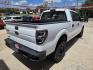 2014 WHITE Ford F-150 XL SuperCrew 5.5-ft. Bed 4WD (1FTFW1EFXEK) with an 5.0L V8 engine, 6-Speed Automatic transmission, located at 503 West Court, Seguin, TX, 78155, (830) 379-3373, 29.568621, -97.969803 - 2014 Ford F-150 XL SuperCrew 5.5-ft. Bed 4WD with a 5.0L V8, Automatic, Tilt, Cruise, AM/FM/CD/AUX Stereo, Bluetooth, Custom Seating, Custom Interior Trim, Trailer Towing, Steel Bumper and more!! - Photo#2
