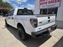 2014 WHITE Ford F-150 XL SuperCrew 5.5-ft. Bed 4WD (1FTFW1EFXEK) with an 5.0L V8 engine, 6-Speed Automatic transmission, located at 503 West Court, Seguin, TX, 78155, (830) 379-3373, 29.568621, -97.969803 - 2014 Ford F-150 XL SuperCrew 5.5-ft. Bed 4WD with a 5.0L V8, Automatic, Tilt, Cruise, AM/FM/CD/AUX Stereo, Bluetooth, Custom Seating, Custom Interior Trim, Trailer Towing, Steel Bumper and more!! - Photo#3