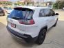 2019 WHITE Jeep Cherokee Limited FWD (1C4PJLDB3KD) with an 2.4L L4 DOHC 16V engine, 9A transmission, located at 503 West Court, Seguin, TX, 78155, (830) 379-3373, 29.568621, -97.969803 - 2019 Jeep Cherokee Limited FWD with a 2.4L L4 DOHC 16V, Automatic, Tilt, Cruise, AM/FM/AUX Touchscreen Stereo, Power Windows, Locks, Seat and Side Mirrors, Leather Seating, Bluetooth, Dual Climate Control, Rear A/C, Tinted Windows, Power Rear Liftgate, Backup Camera, Bumper Sensors, Rear Wiper, Rear - Photo#2