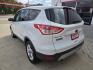 2014 WHITE Ford Escape SE FWD (1FMCU0G99EU) with an 2.0L L4 DOHC 16V engine, 6-Speed Automatic transmission, located at 503 West Court, Seguin, TX, 78155, (830) 379-3373, 29.568621, -97.969803 - 2014 Ford Escape SE FWD with a 2.0L L4 DOHC 16V, Automatic, Tilt, Cruise, AM/FM/CD Stereo, Power Windows, Locks, Seats and Side Mirrors, Bluetooth, Automatic Headlights, Power Sunroof, Alloy Wheels, Backup Camera, Rear Wiper, Rear Defroster and more!! - Photo#3