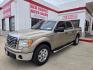 2012 GOLD Ford F-150 FX2 SuperCrew 5.5-ft. Bed 2WD (1FTFW1CF1CK) with an 5.0L V8 engine, 6-Speed Automatic transmission, located at 503 West Court, Seguin, TX, 78155, (830) 379-3373, 29.568621, -97.969803 - 2012 Ford F-150 XLT SuperCrew 2WD with a 5.0L V8, Automatic, Tilt, Cruise, AM/FM/CD/AUX Stereo, Power Windows, Locks, Seat and Side Mirrors, Bluetooth, Tinted Windows, Front Bench Seating, Alloy Wheels, Running Boards, Trailer Towing, Tonneau Cover and more!! - Photo#0