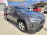 2020 GRAY Toyota RAV4 XLE (2T3W1RFV5LW) with an 2.5L L4 DOHC 16V engine, 8A transmission, located at 503 West Court, Seguin, TX, 78155, (830) 379-3373, 29.568621, -97.969803- Photo#1