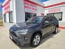 2020 GRAY Toyota RAV4 XLE (2T3W1RFV5LW) with an 2.5L L4 DOHC 16V engine, 8A transmission, located at 503 West Court, Seguin, TX, 78155, (830) 379-3373, 29.568621, -97.969803- Photo#0