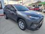 2025 GRAY Toyota RAV4 LE (2T3H1RFV0SW) with an 2.5L L4 DOHC 16V engine, 8A transmission, located at 503 West Court, Seguin, TX, 78155, (830) 379-3373, 29.568621, -97.969803 - 2025 Toyota RAV4 LE with a 2.5L L4 DOHC 16V, Automatic, Tilt, Cruise, AM/FM Touchscreen Stereo, Apple Carplay and Android Auto, Power Windows, Locks and Side Mirrors, Bluetooth, Tinted Windows, Backup Camera, Rear Wiper, Rear Defroster and more!!- Photo#1